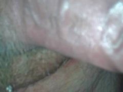 My veiny cock from all sides
