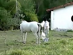 Brazilian Cowboys