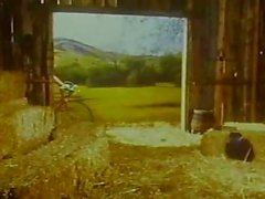 Vintage gangbang on farm