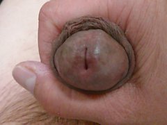 From flaccid to erect - No Cum