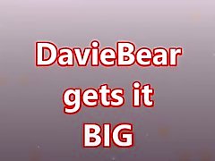DavieBear take it BIG