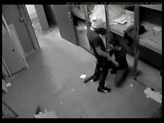 Camera Caught Two Gay Guys Humping In Warehouse