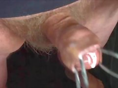 Four foreskin videos including cumshots