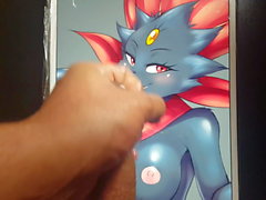 Project Creaming Pokemon ( Cum Tribute Compilation Part 5 )