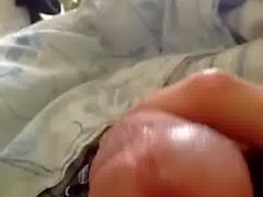 precum drip from the tip of my cock
