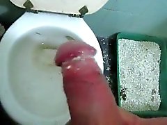 Taking a leak - Meada con queso - Cheese cock